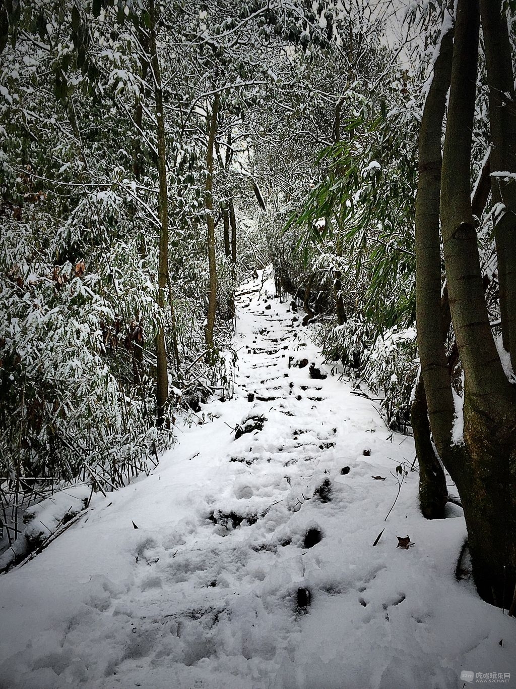 赵公山耍雪