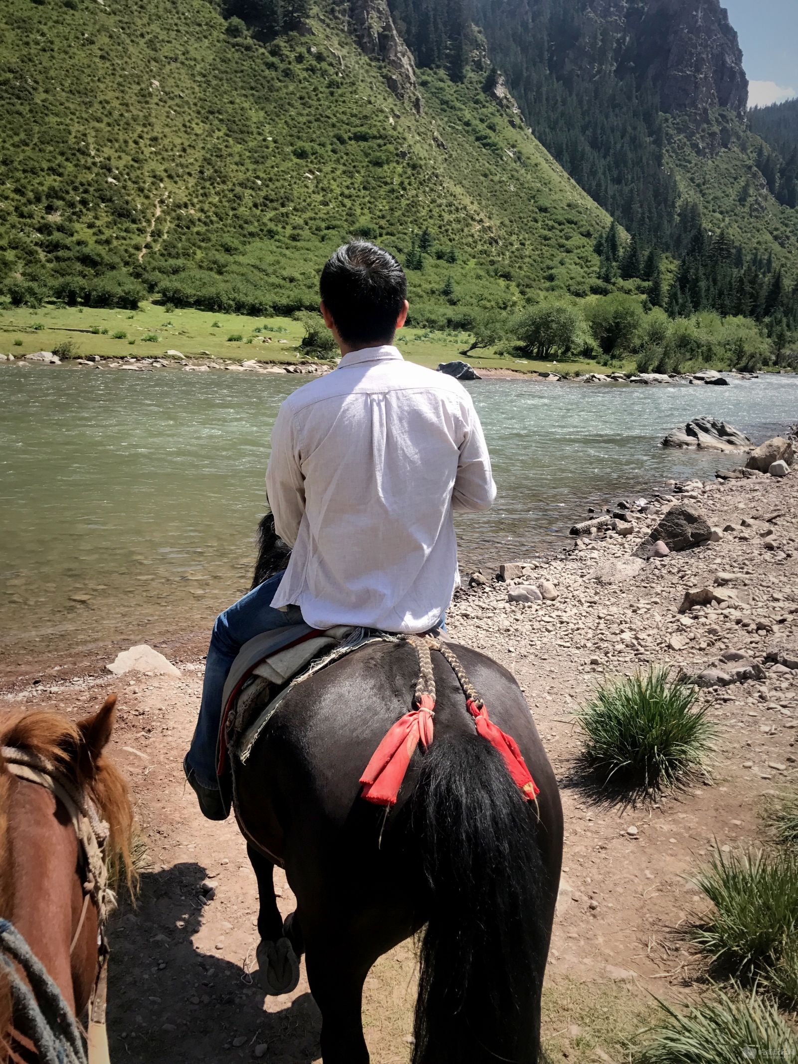 涉水过河，这马估计走习惯了，一夹马肚它就乖乖的过河