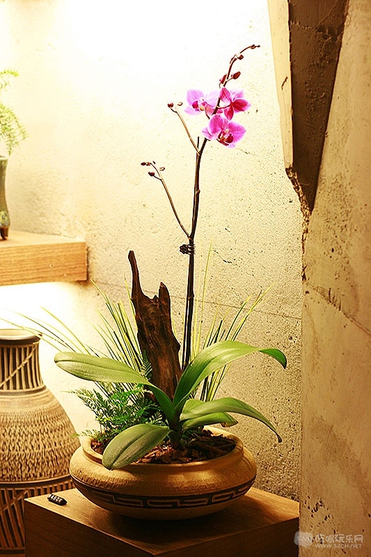 56_MG_5436处理小图.jpg