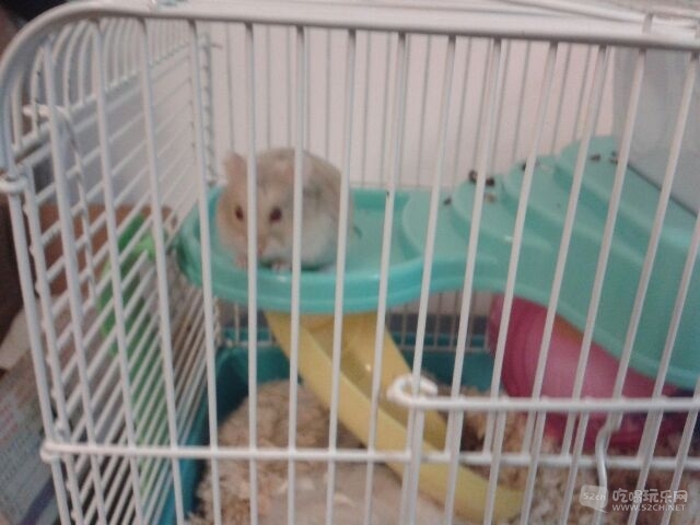 20150125_194031.jpeg