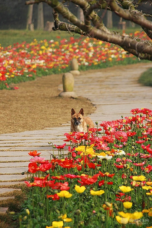 50_MG_1466处理小图.jpg