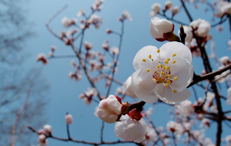 QQ截图20150303110049.png