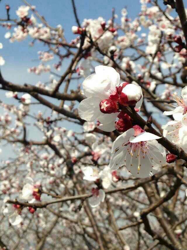 QQ图片20150303102552.jpg