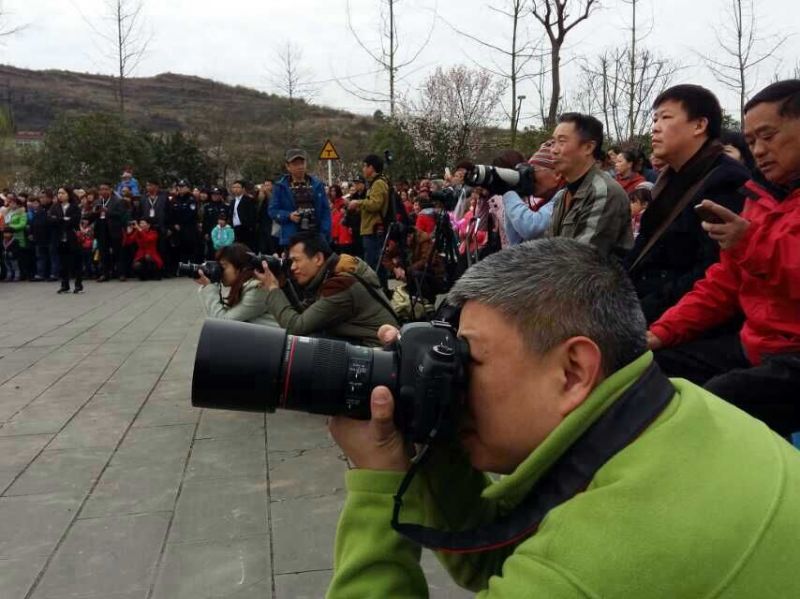 QQ图片20150303101552.jpg