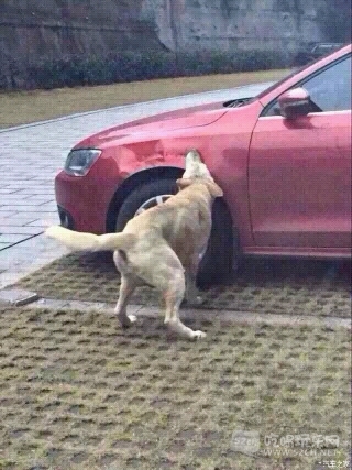 093836gmrbzsuusdr8dnu6.jpg