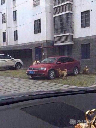 093839ddob7vkxzxkko7dv.jpg