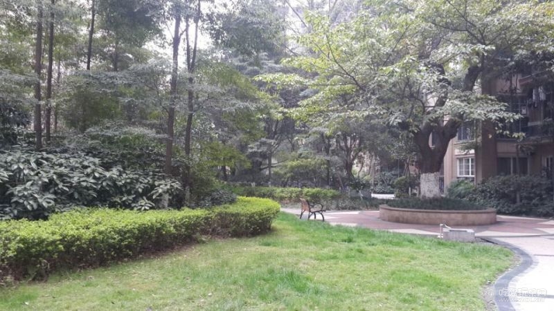 小区内景2