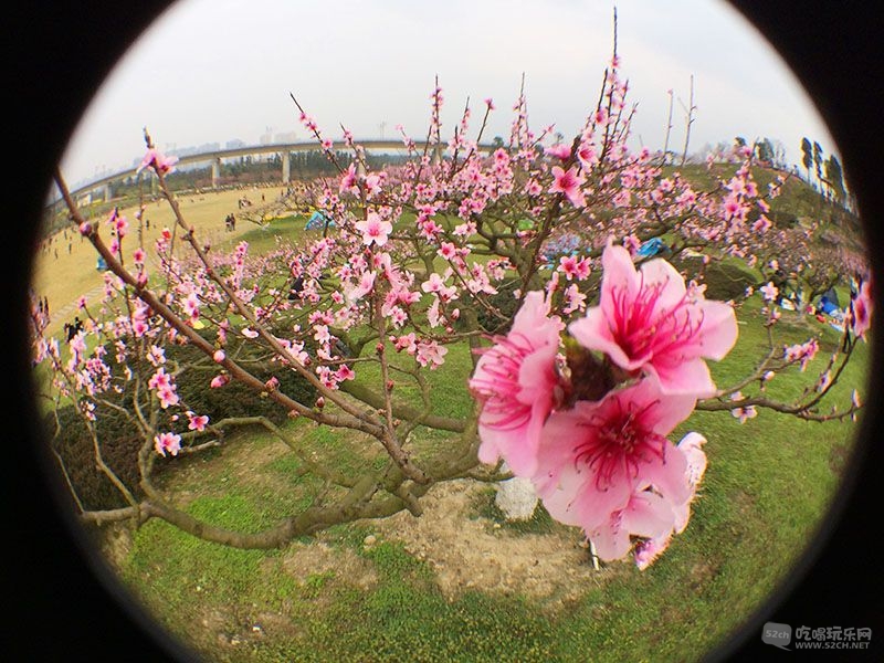 14 IMG_3788处理小图.jpg