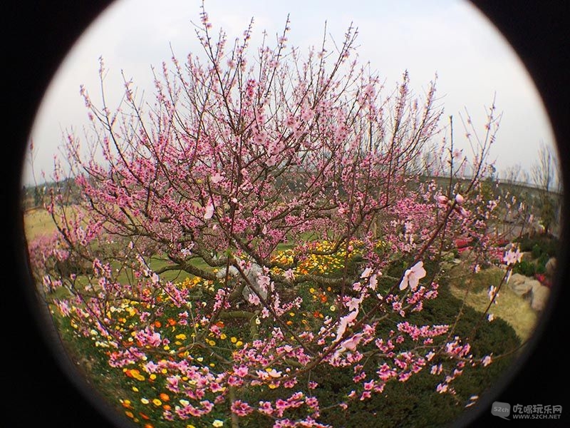 17 IMG_3798处理小图.jpg