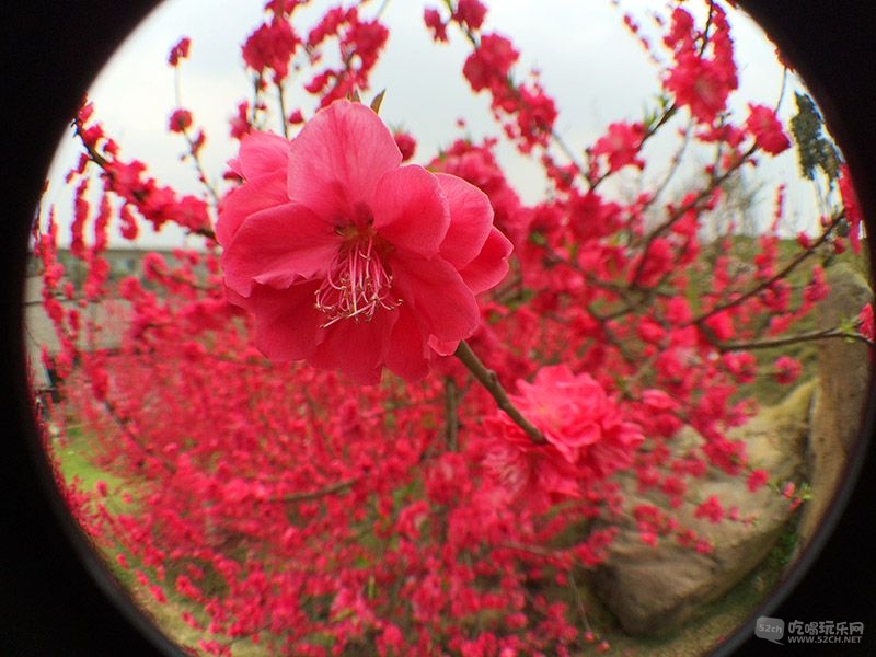 20 IMG_3802处理小图.jpg
