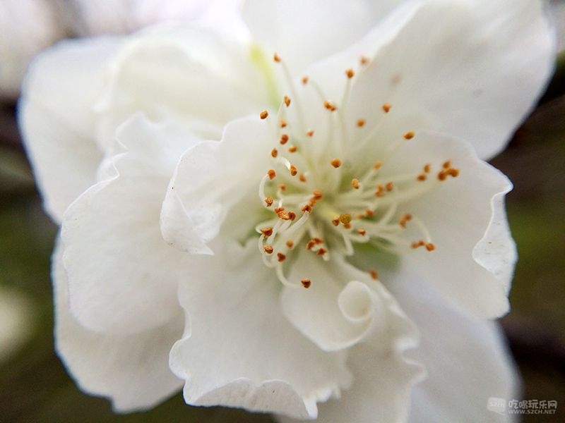 24 IMG_3828处理小图.jpg