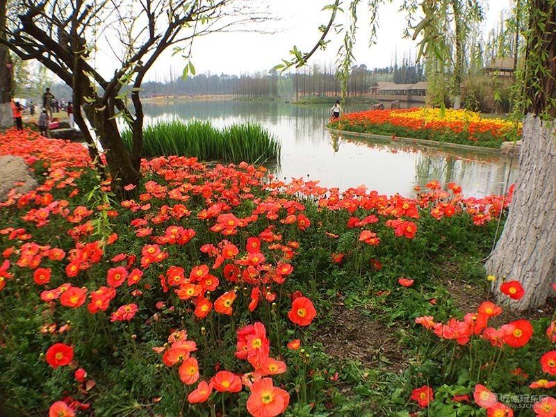 29 IMG_3858处理小图.jpg