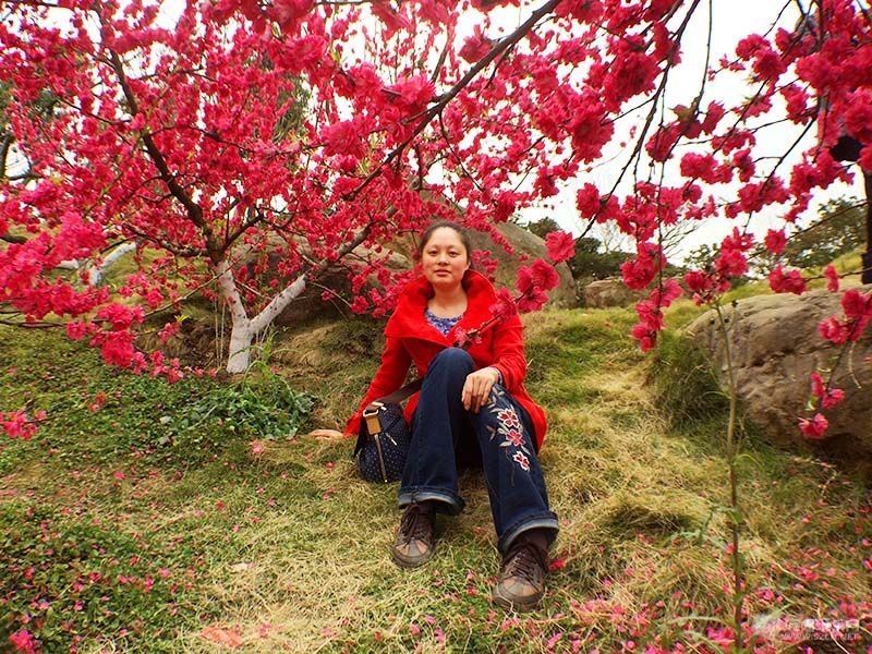37 IMG_3816处理小图.jpg