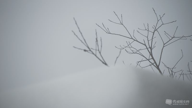 L1002413.jpg
