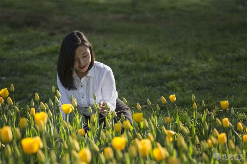 出镜：恰如葵花1_副本.jpg