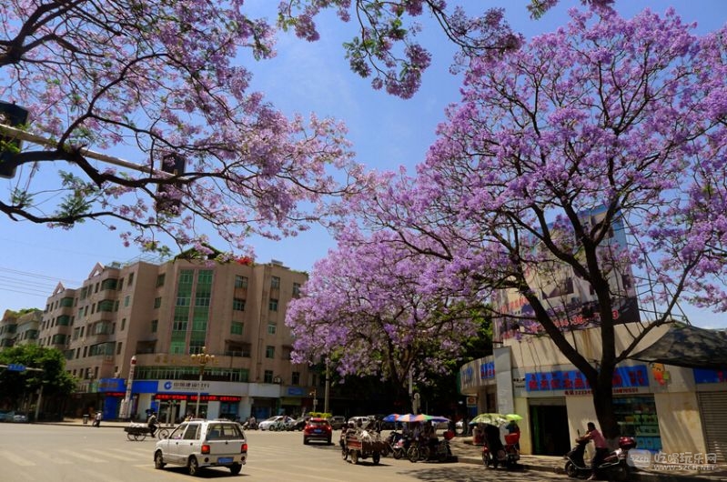 QQ截图20150417212029.jpg