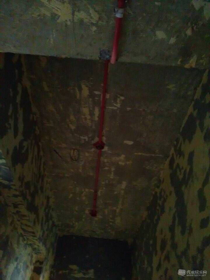 厨房电顶.jpg