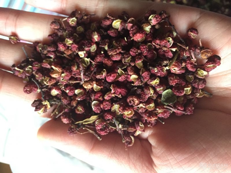 自己家种的花椒