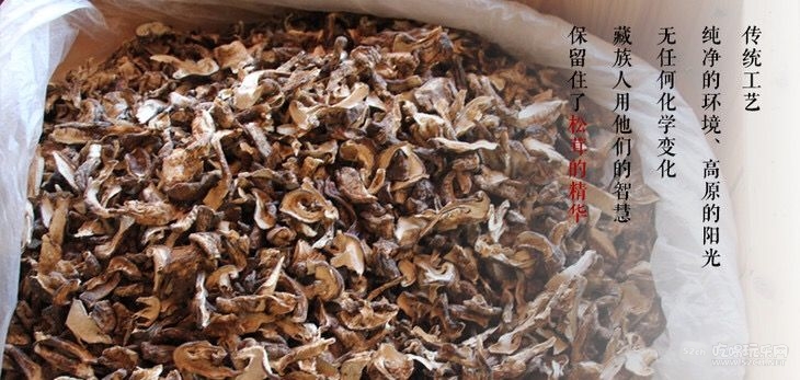 木耳忘记拍PP了，下回回去拍