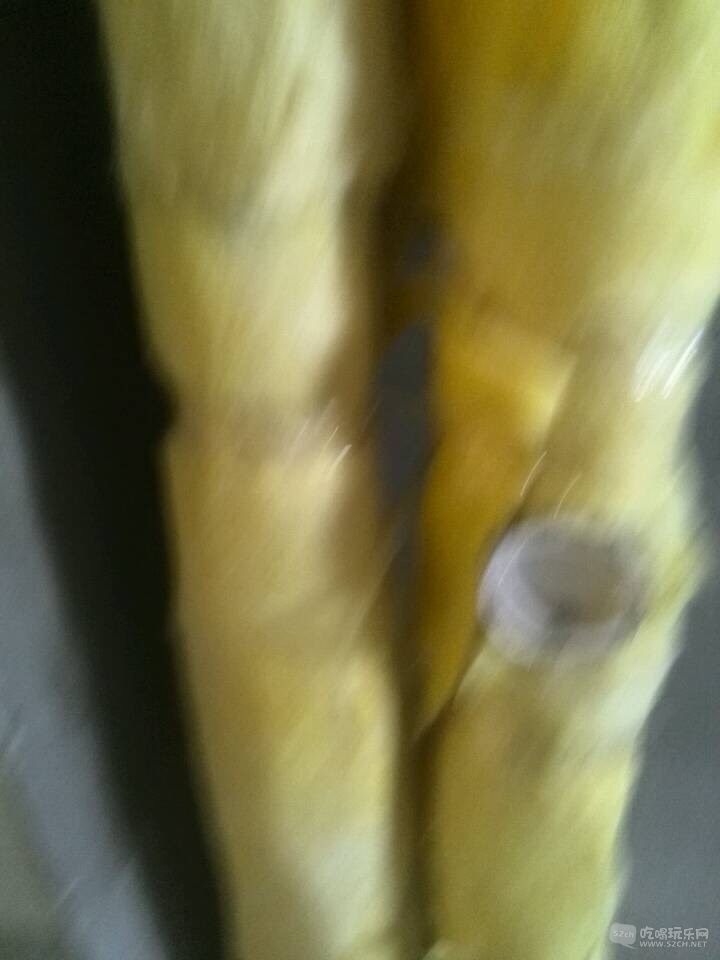152646dqzgmiqnqcoq33pn.jpg