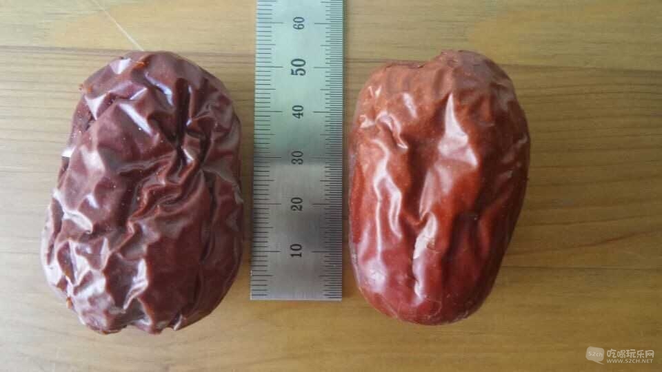 特技骏枣哈5厘米大