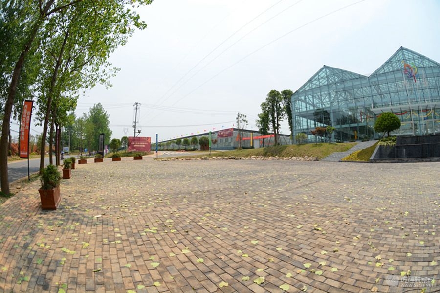 DSC_3080_副本.jpg