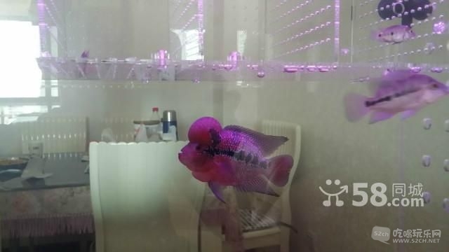 n_t05afd9a635d828013280f.jpg