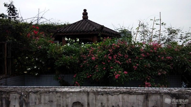 邻居家弄好的花园，面积相同