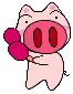疯狂小猪.gif
