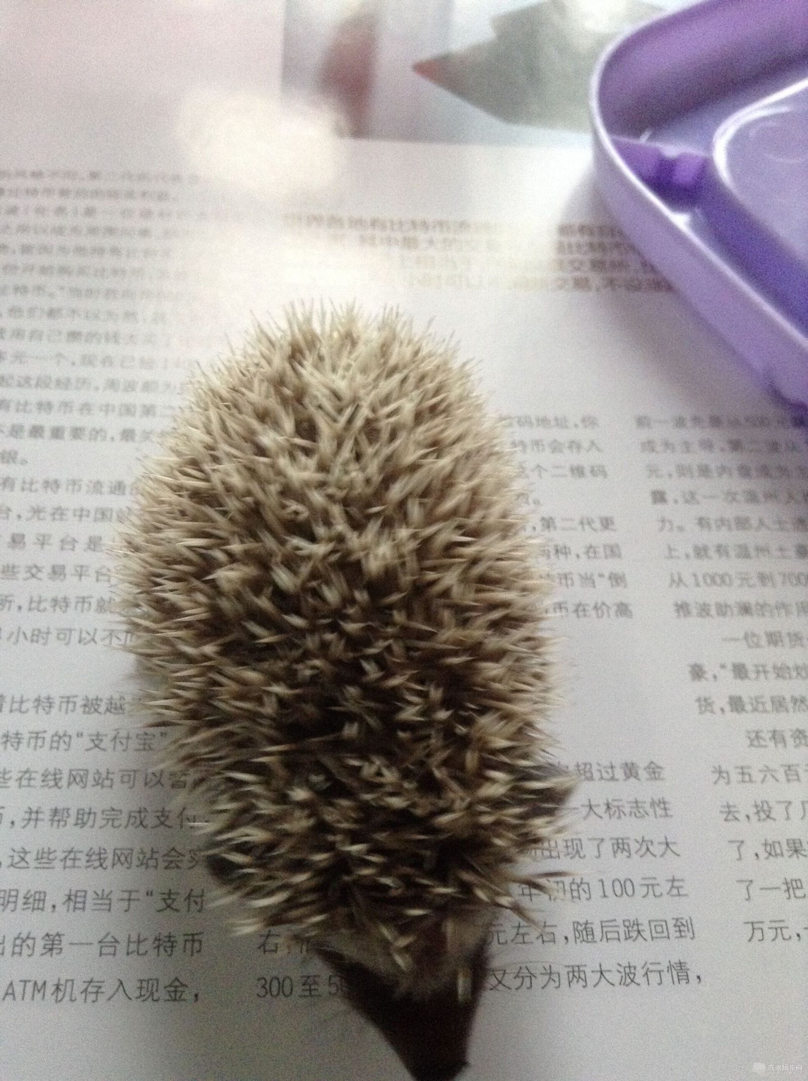 QQ图片20150610083531.jpg