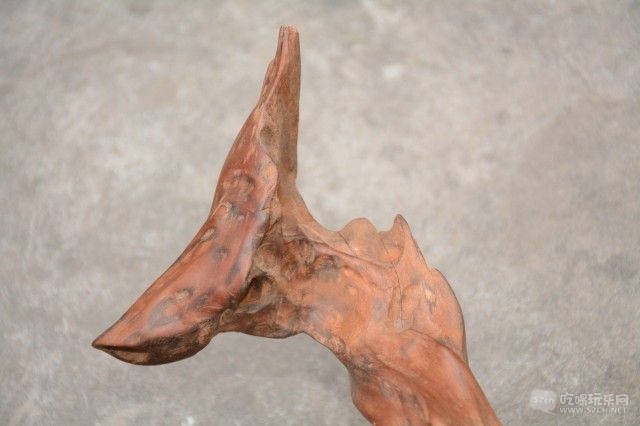 DSC_1832.jpg