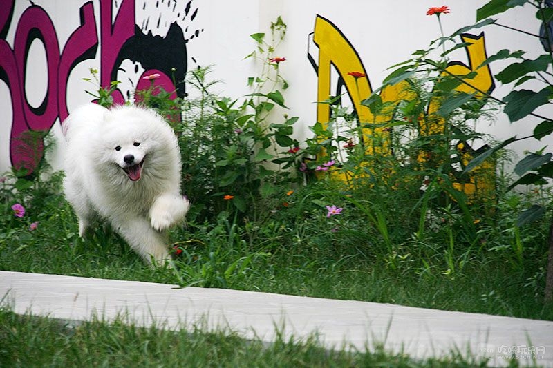 04_MG_6773处理小图.jpg