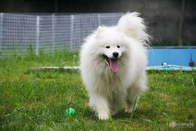 09_MG_6789处理小图.jpg