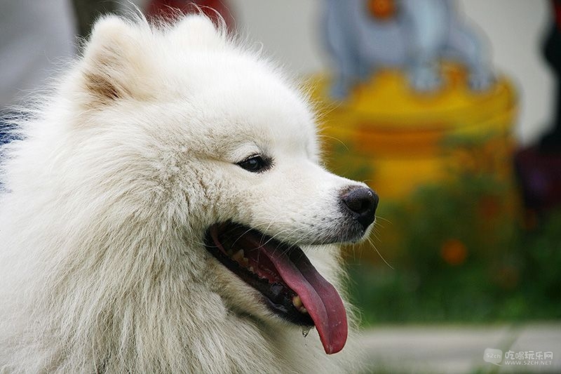 12_MG_6804处理小图.jpg