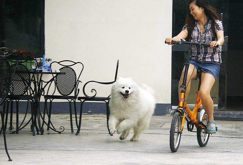 15_MG_6817处理小图.jpg