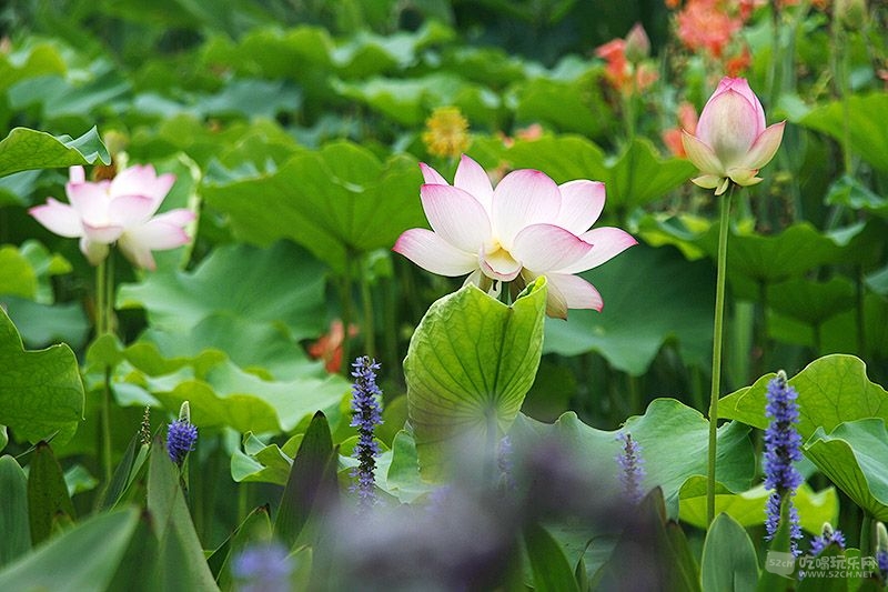 22_MG_6860处理小图.jpg