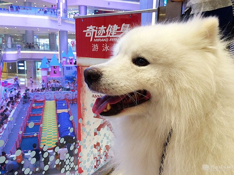 43 IMG_8474处理小图.jpg