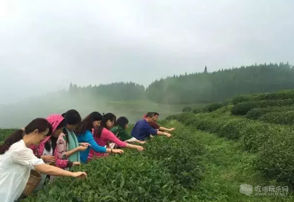 QQ截图20150715122151.png