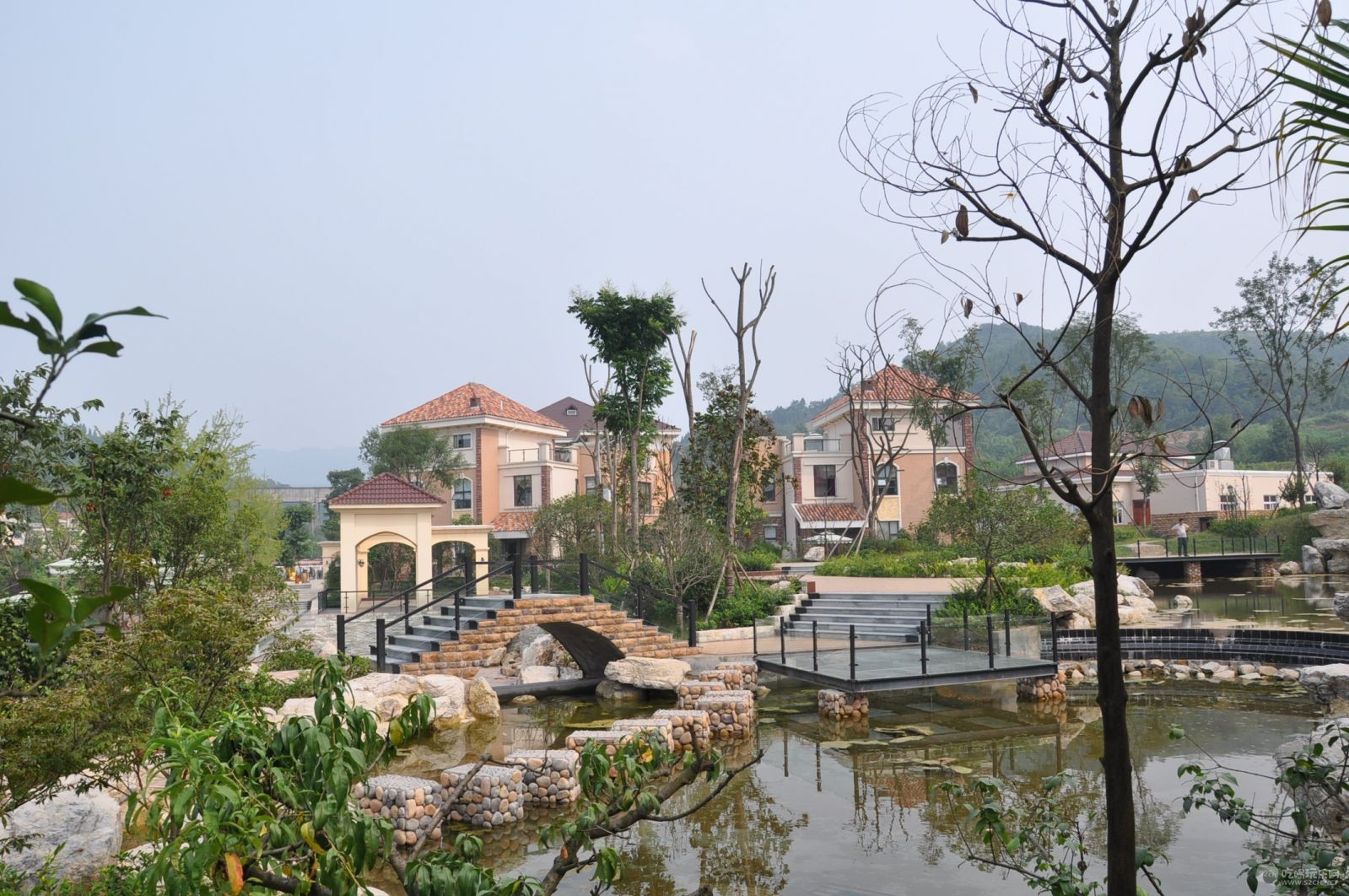 云崖牧歌图片 (2).jpg