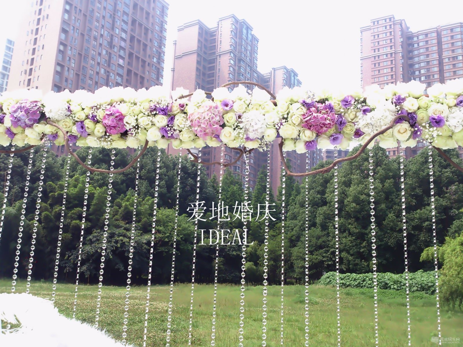 11 8935_2_副本.jpg