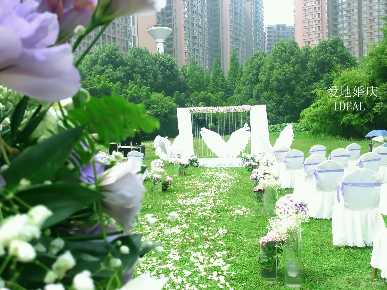 11 8950_2_副本.jpg