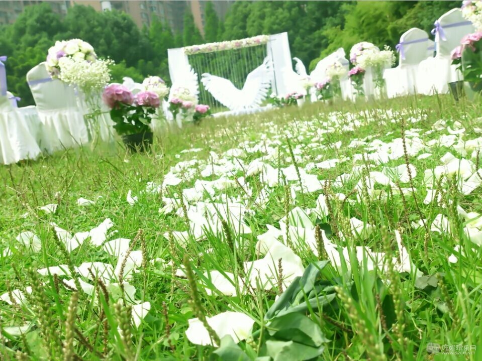 QQ图片20150625145800.jpg