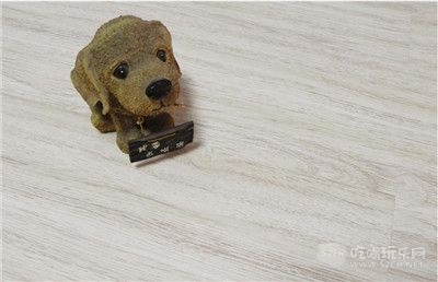贝尔地板 撞色婚房巧搭配3.jpg