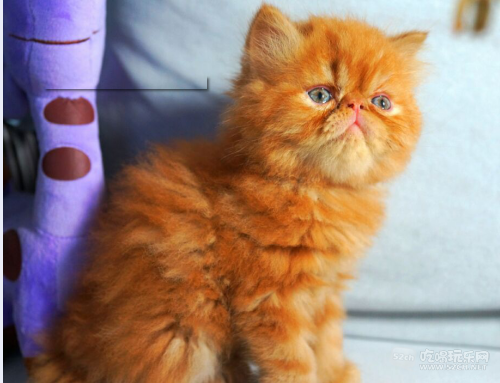 }(ORC0BDBB2I35(49P{B`@2.png