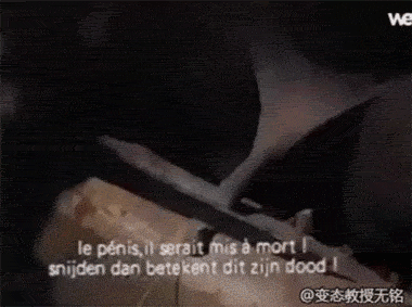 1111.gif