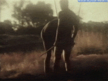 333.gif