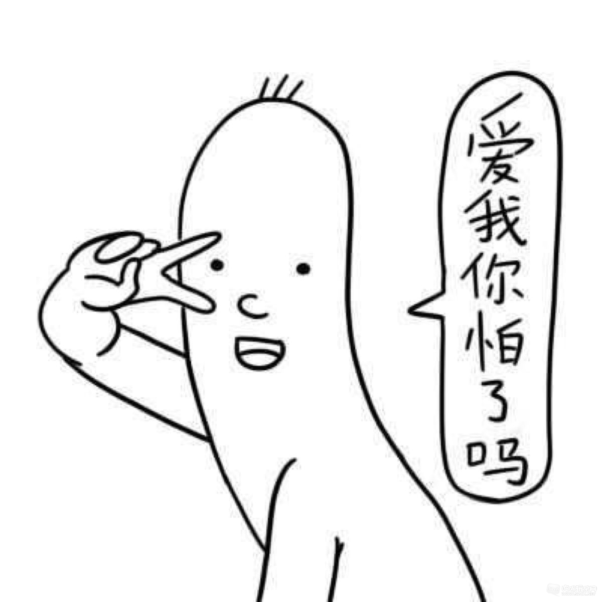 7.jpeg