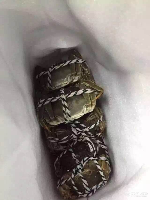 大闸蟹3.jpg