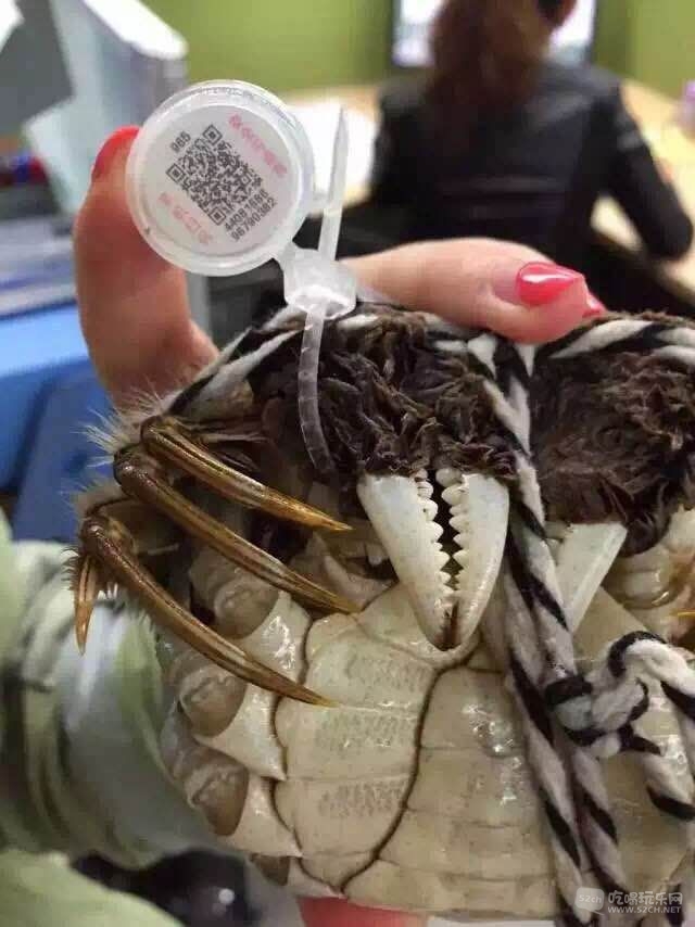 大闸蟹5.jpg