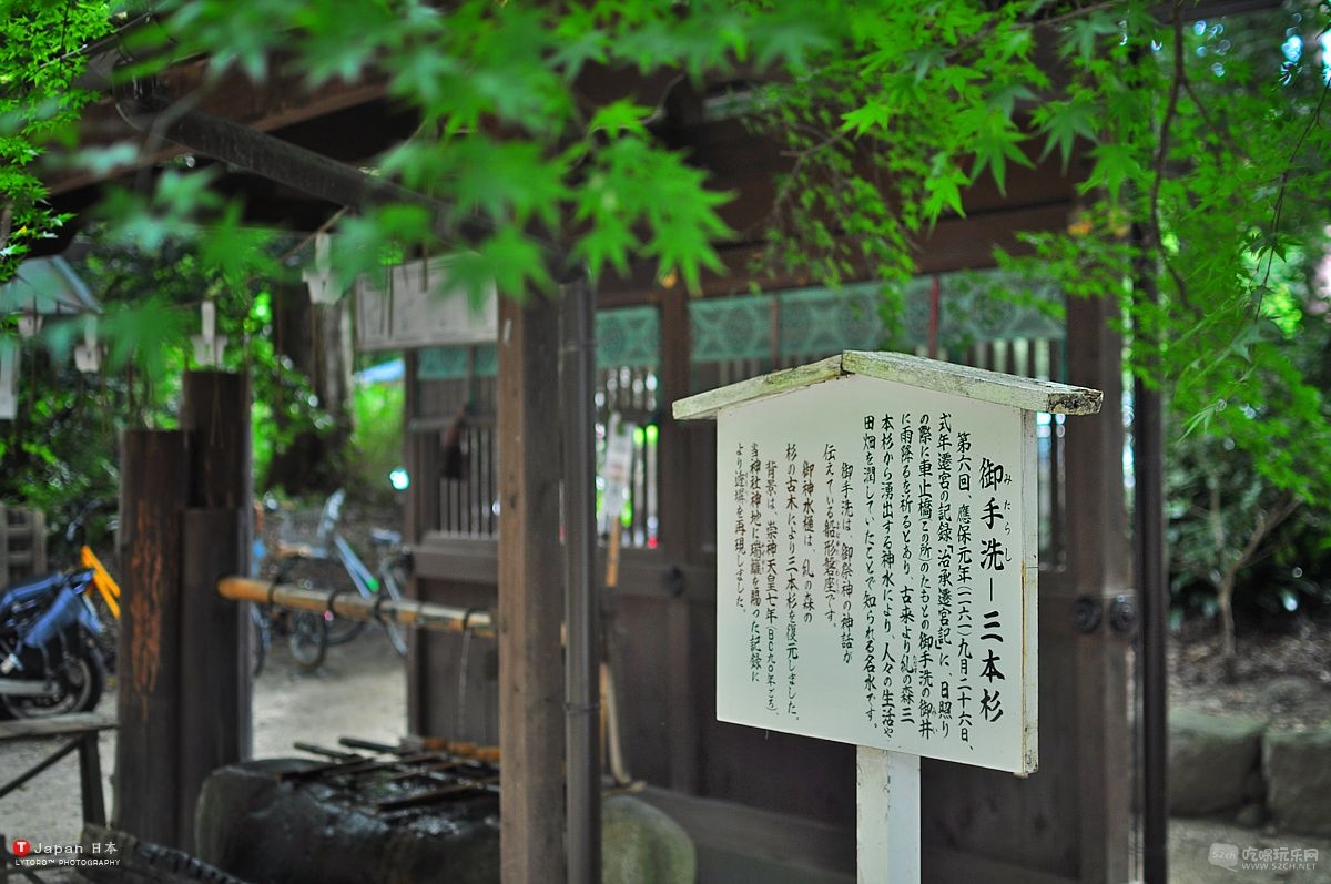 DSC_0150.jpg
